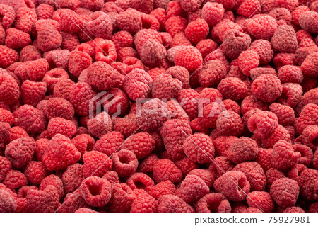 Frozen fresh raspberry. Food background. Top view. Frozen fresh raspberry. Food background. Top view. 75927981