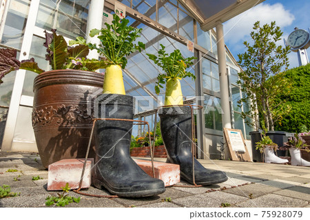 Nicknamed "dela farm" Nagoya City Agricultural Center <Nagoya City, Aichi Prefecture> 75928079