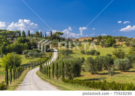 Typical Tuscan landscape near Montepulciano and Monticchielo, Italy Typical Tuscan landscape near Montepulciano and Monticchielo, Italy 75928290
