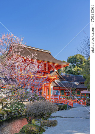 Kyoto Spring Kamigamo Shrine Romon 75928563
