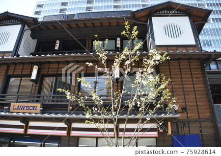 小田原美中小田原新城下町 小田原美中小田原新城下町 75928614