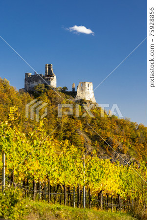 Ruins of Senftenberg, Krems-Land District, Lower Austria, Austria 75928856