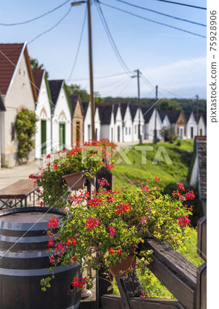 wine cellars in Villanykovesd, Villany, Hungary wine cellars in Villanykovesd, Villany, Hungary 75928906