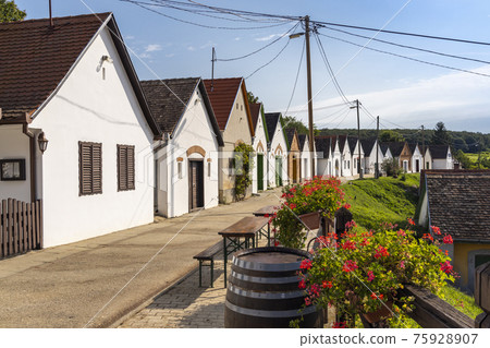 wine cellars in Villanykovesd, Villany, Hungary 75928907