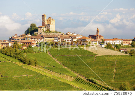View of the village of Serralunga d`Alba and the wonderful Langa, italy View of the village of Serralunga d`Alba and the wonderful Langa, italy 75928970