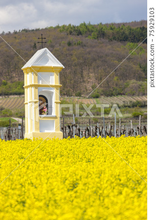 Gods torture near Retz, Austria Gods torture near Retz, Austria 75929103