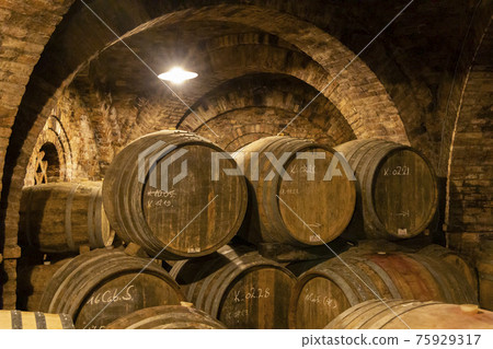wine barrels in the cellar, Szekszard, Hungary 75929317