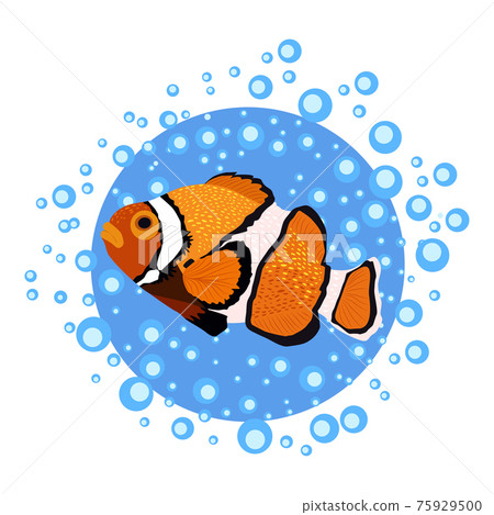 Orange bright sea dweller clown fish surrounded by water bulbs, hand drawn 75929500