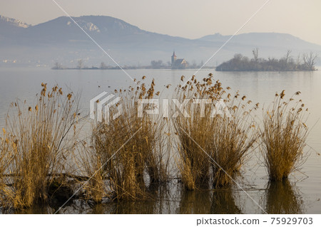 Lake Musov with Church of St. Linhart in Musov, Southern Bohemia, Czech Republic 75929703