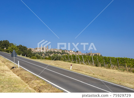 Tuscany's most famous vineyards near town Montalcino in Italy Tuscany's most famous vineyards near town Montalcino in Italy 75929729