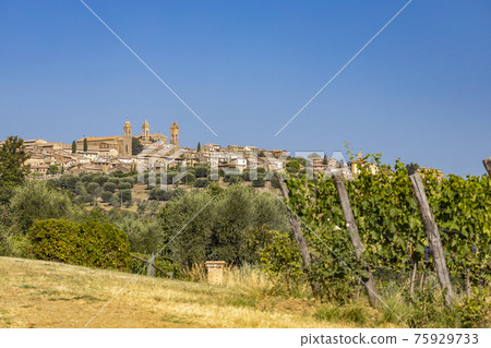 Tuscany's most famous vineyards near town Montalcino in Italy Tuscany's most famous vineyards near town Montalcino in Italy 75929733