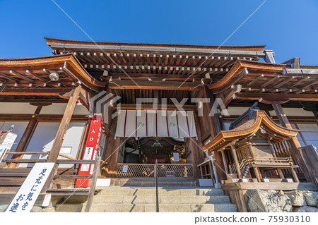 Main shrine of Kamigamo Shrine in spring in Kyoto 75930310