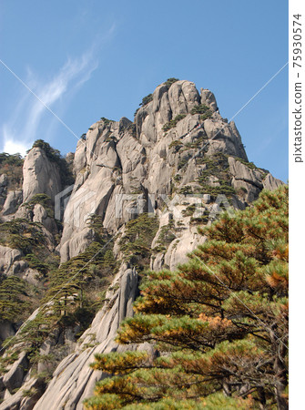 Huangshan Mountain in Anhui Province, China. The summit of Lotus Peak, the highest point of Huangshan. Scenic view of the cliffs, pine trees and summit path on Huangshan Mountain, China. 75930574