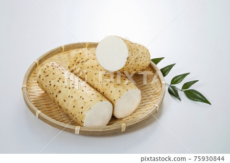 Yam 75930844