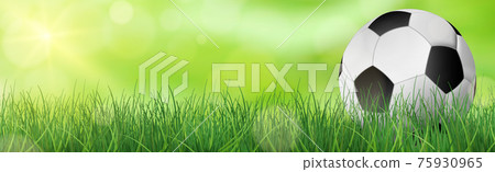 Realistic soccer ball lies on green grass lawn - Vector Realistic soccer ball lies on green grass lawn - Vector 75930965