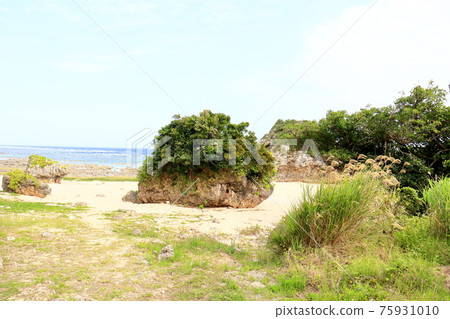 Gushichan海灘（沖繩縣島尻區八重町Gushichan） 75931010