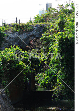 Hananda Nature Bridge (Gushichan, Yaese Town, Okinawa Prefecture) Hananda Nature Bridge (Gushichan, Yaese Town, Okinawa Prefecture) 75931024