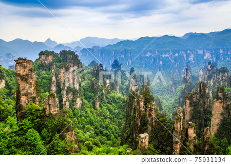 Quartzite sandstone pillars and peaks with green trees and mountains panorama, Zhangjiajie national forest park, Hunan province, China Quartzite sandstone pillars and peaks with green trees and mountains panorama, Zhangjiajie national forest park, Hunan province, China 75931134