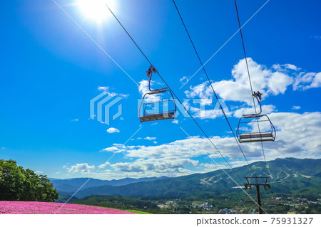 Hiruga's Picnic Garden, a highland resort with a superb view <Gujo City, Gifu Prefecture> 75931327