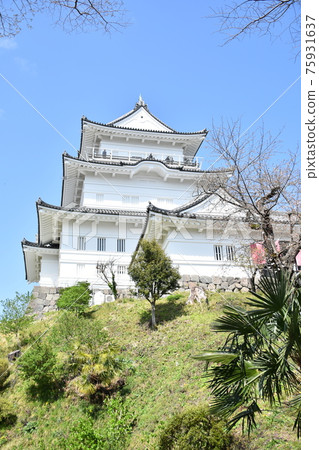 Odawara Castle and the blue sky Odawara Castle and the blue sky 75931637