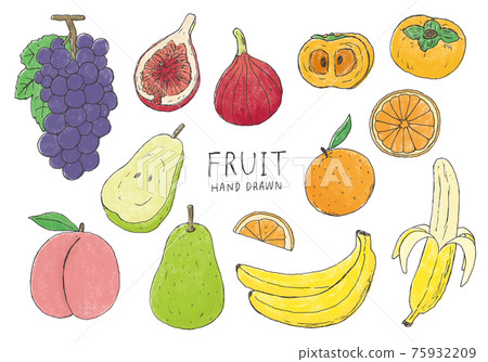 Hand-drawn illustration set of fruits 2 (color) 75932209