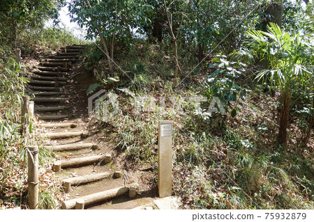 Former Kamakura Highway in Kokubunji City, Tokyo (Mound North of What Time) 75932879