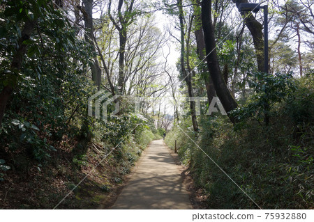 Former Kamakura Highway in Kokubunji, Tokyo (from the north side) 75932880