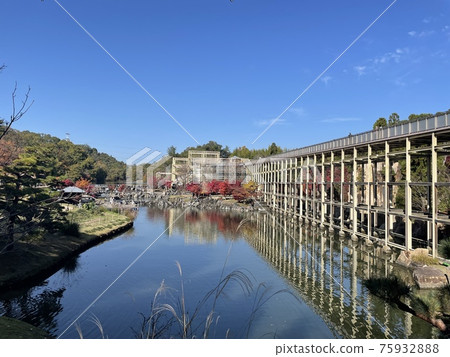 秋天的樹葉 75932888