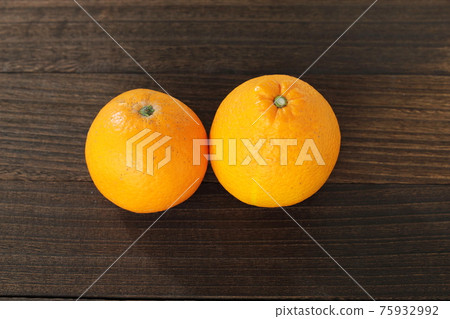 Dekopon Hassaku Kiyomi 75932992