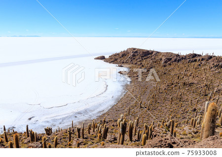 Salar de Uyuni view from Isla Incahuasi Salar de Uyuni view from Isla Incahuasi 75933008
