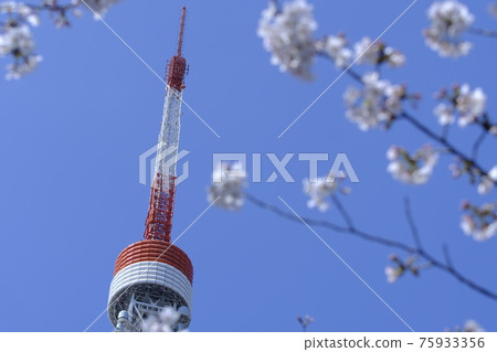 東京鐵塔 東京鐵塔 75933356