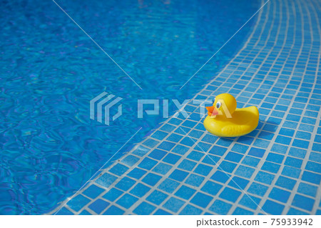 yellow rubber duck in blue swimming pool yellow rubber duck in blue swimming pool 75933942