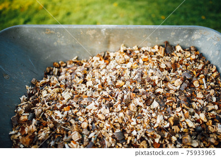 wheelbarrow full of wooden mulch, closeup view 75933965