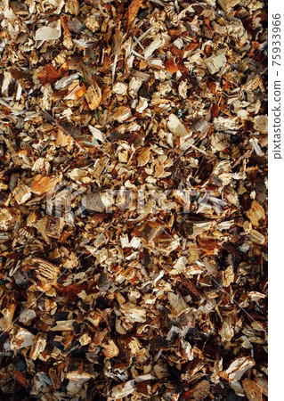 wooden mulch background, closeup view 75933966