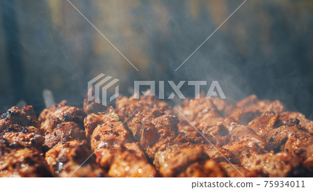 grilled barbecue meat on skewers with smoke grilled barbecue meat on skewers with smoke 75934011