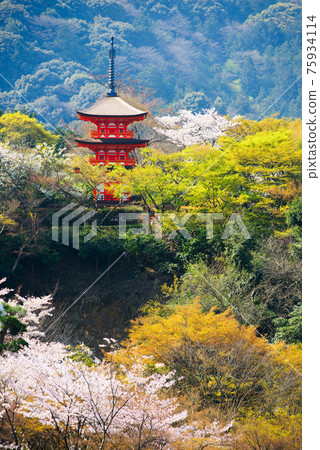 Kyoto, Japan at Kiyomizu-dera's pagoda 75934114