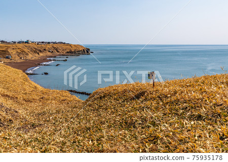 衝津海灘 75935178