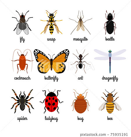 Insects icons 75935191