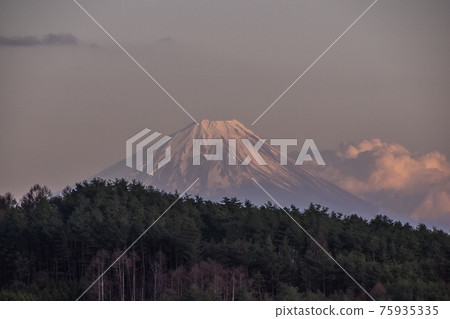 Red Fuji 75935335