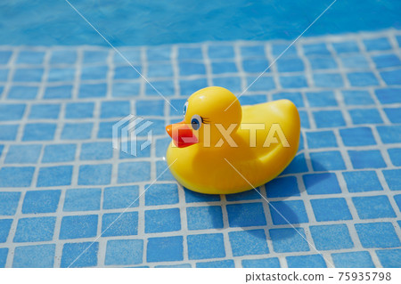 yellow rubber duck in blue swimming pool yellow rubber duck in blue swimming pool 75935798