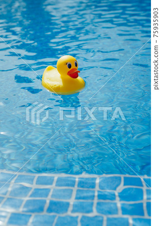 yellow rubber duck in blue swimming pool yellow rubber duck in blue swimming pool 75935903