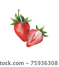 Hand drawn watercolor strawberry composition 75936308