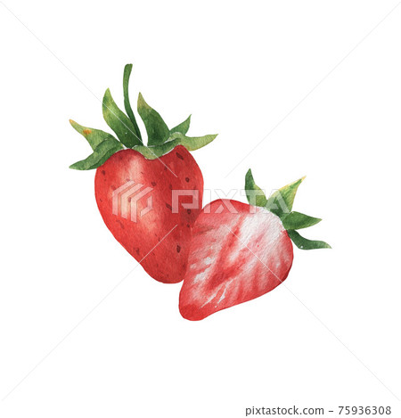 Hand drawn watercolor strawberry composition Hand drawn watercolor strawberry composition 75936308