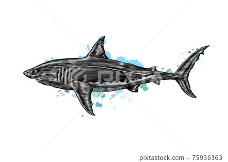 Great white shark from a splash of watercolor, colored drawing, realistic Great white shark from a splash of watercolor, colored drawing, realistic 75936363