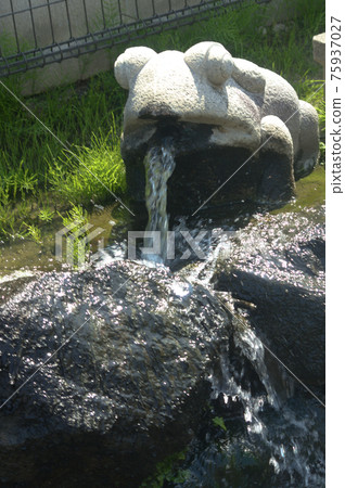 A stone statue of a frog's decorative sprue where water drips from its mouth A stone statue of a frog's decorative sprue where water drips from its mouth 75937027