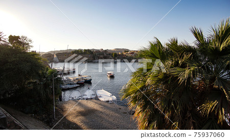 Egypt Nile river port Aswan river view of architecture local life palm trees and felucca boats Egypt Nile river port Aswan river view of architecture local life palm trees and felucca boats 75937060