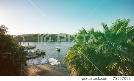 Egypt Nile river port Aswan river view of architecture local life palm trees and felucca boats Egypt Nile river port Aswan river view of architecture local life palm trees and felucca boats 75937061