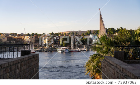 Egypt Nile river port Aswan river view of architecture local life palm trees and felucca boats Egypt Nile river port Aswan river view of architecture local life palm trees and felucca boats 75937062