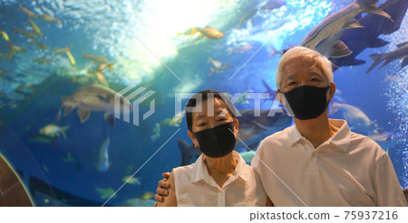 Underwater tunnel aquarium with Asian senior elder couple wear mask dating have fun happy together Underwater tunnel aquarium with Asian senior elder couple wear mask dating have fun happy together 75937216