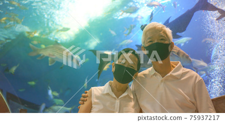 Underwater tunnel aquarium with Asian senior elder couple wear mask dating have fun happy together Underwater tunnel aquarium with Asian senior elder couple wear mask dating have fun happy together 75937217
